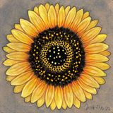 sunflower by Jytte Hviid