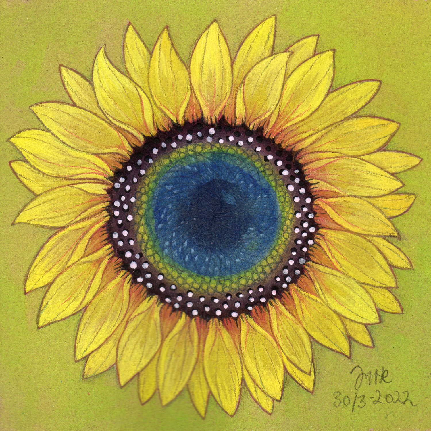 sunflower by Jytte Hviid