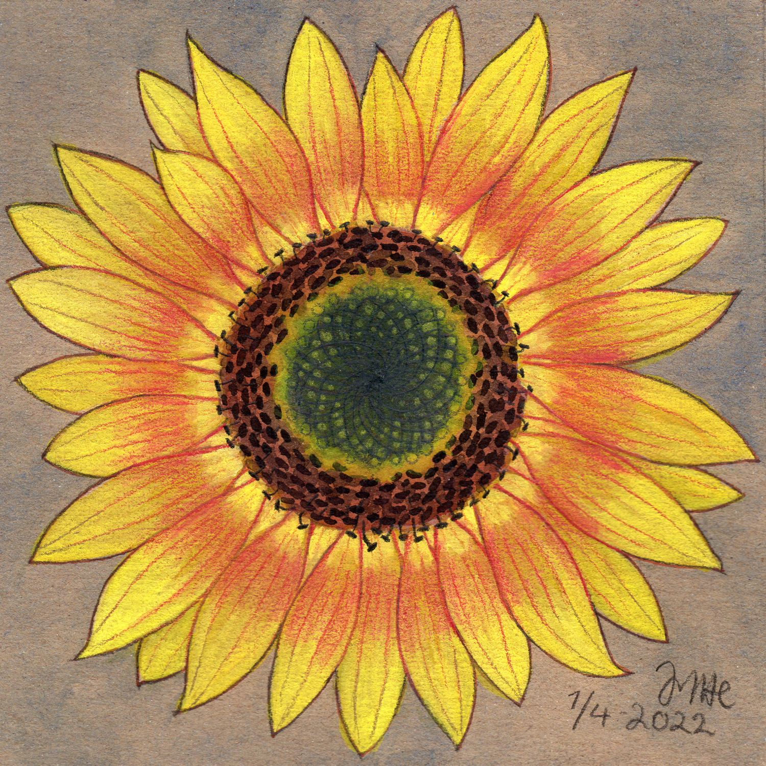sunflower by Jytte Hviid