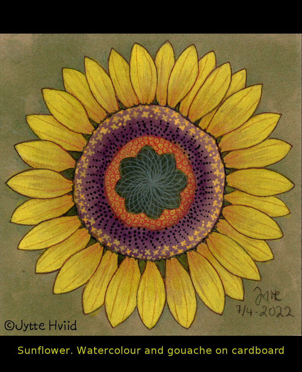 sunflower by Jytte Hviid