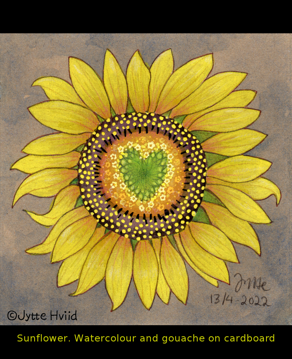 sunflower by Jytte Hviid